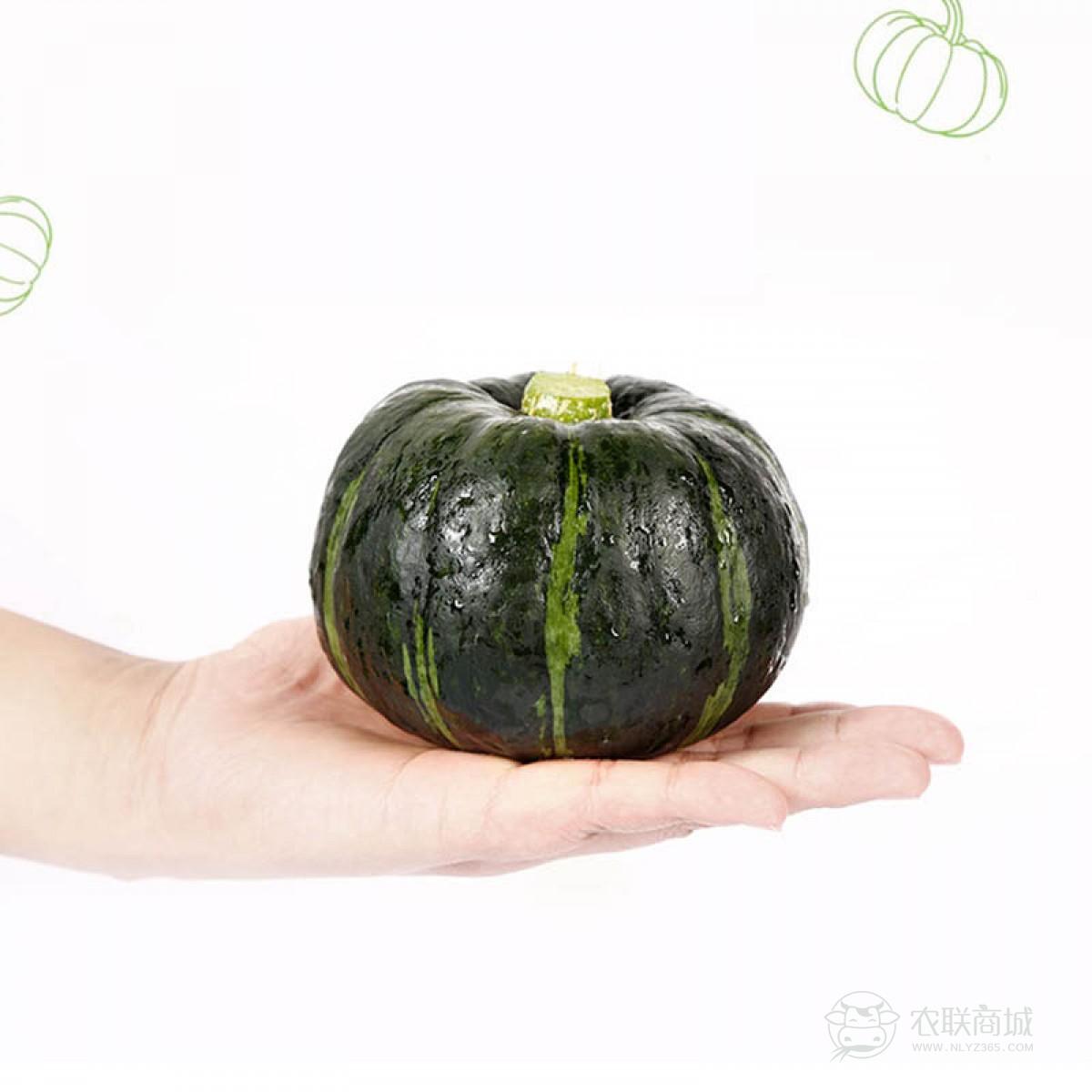 贝贝南瓜板栗味 5斤装 宝宝辅食栗面日本南瓜新鲜蔬菜包邮 进口种源 粉糯香甜 小果